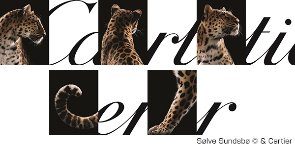 Cartier(カルティエ) カルティエが世界各地の主要都市で、メゾンの象徴である「パンテール」を用いた新たなキャンペーンを発表