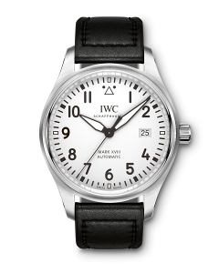 IWC(アイ・ダブリュー・シー)
