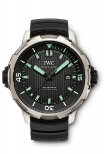 IWC(アイ・ダブリュー・シー)
