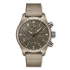 IWC(アイ・ダブリュー・シー)
