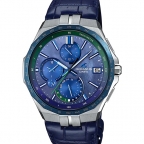 CASIO(カシオ)
