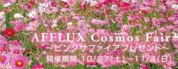 *AFFLUX Cosmos Fair*