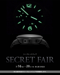 SECRET FAIR 