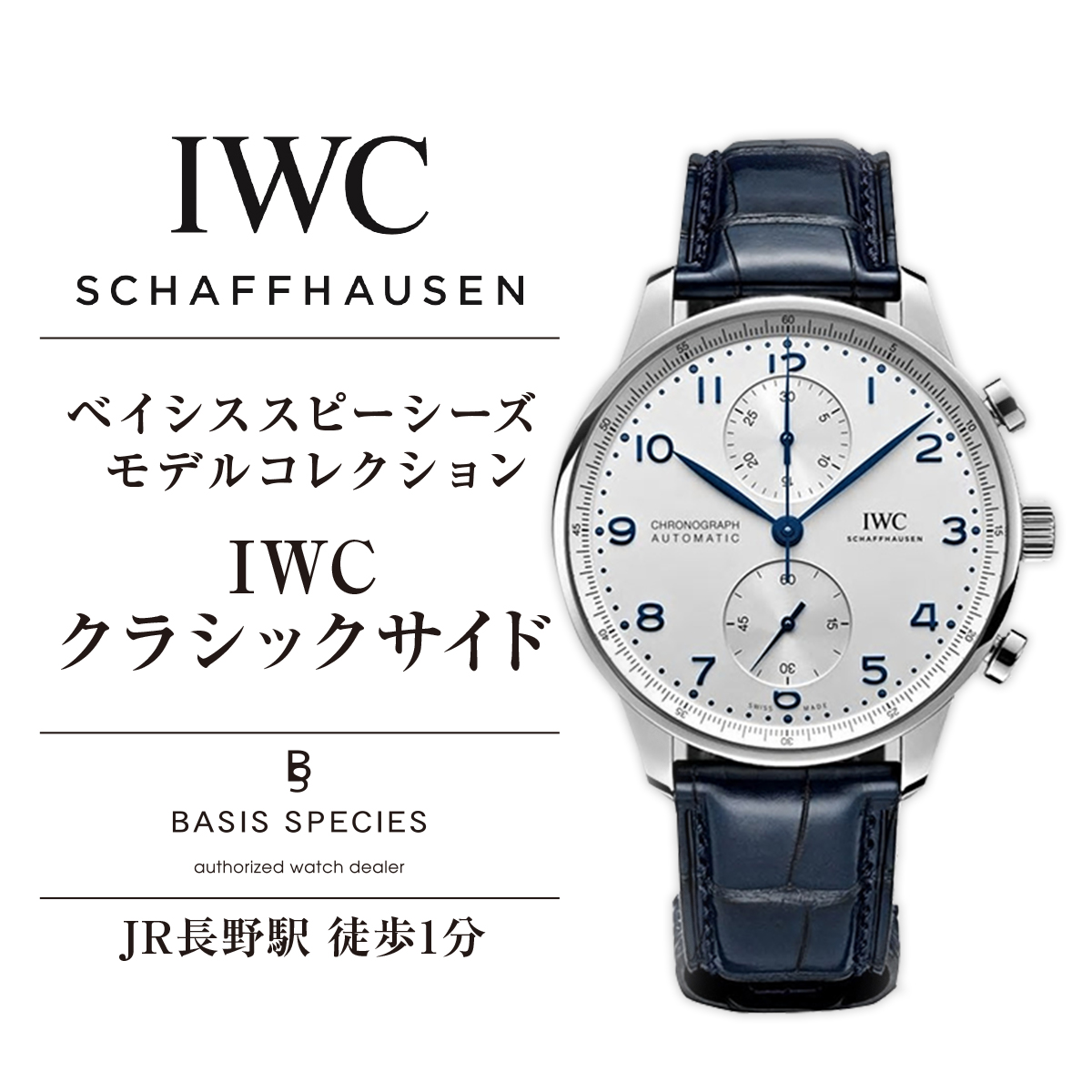 ベイシススピーシーズモデルコレクションIWCクラシックサイド