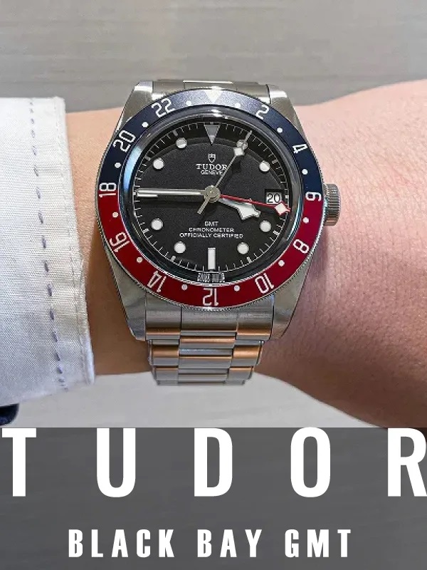 HASSINブログ【TUDOR】チューダー／79830RB