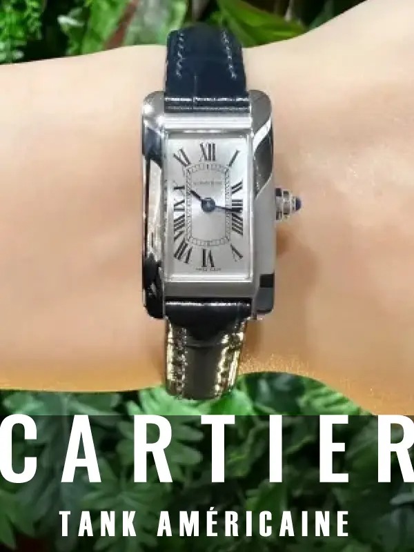 HASSINブログ【CARTIER】カルティエ／WSTA0032