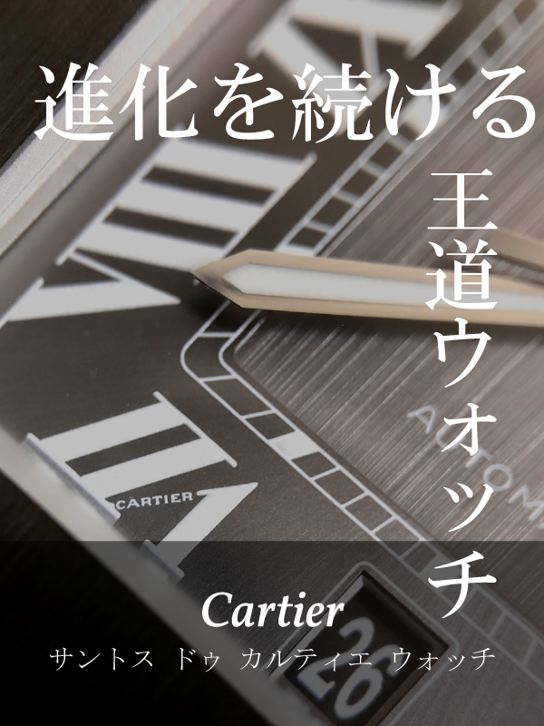 HASSINブログ【CARTIER】カルティエ／W6701004