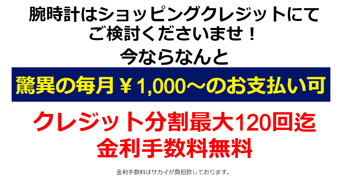 最大分割120回迄金利手数料無料！　分割払いは月々1,000～