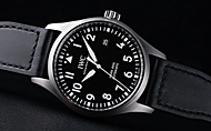 アイ・ダブリュー・シー（IWC）